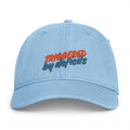 Coastal Washed Cap — "Triggered by Deficits" Retro Dad Hat